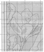 crocus06.jpg