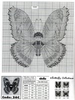 pillangó 2.jpg