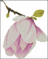 Lanarte_35108-Magnolia_Bud.jpg