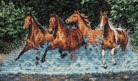 galloping horses1.jpg