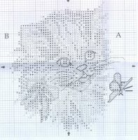 cicabucilla2.jpg