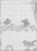 garden6.jpg