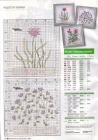 herbs6.jpg