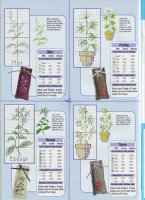 herbs10.jpg