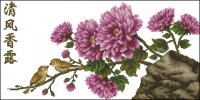 41106 Chrysanthemum-DOME a.jpg