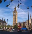 images29