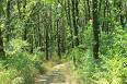 images57