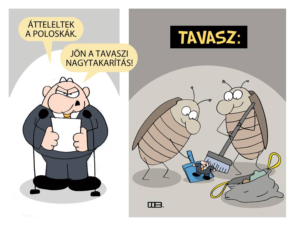 tavaszi nagytakarítás.jpg