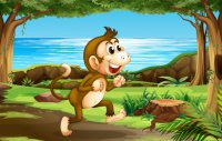 monkey-jungle_1308-25904.jpg