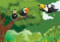 toucans-jungle_1308-25336.jpg