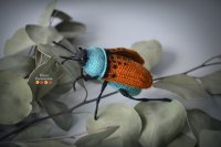 beetle.jpg