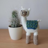 Andy the llama.jpg