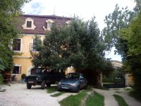 DSC03208.JPG