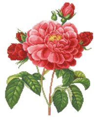 Ellen Maurer Stroh #EMS 144 Series Old Roses - La Duchesse.jpg