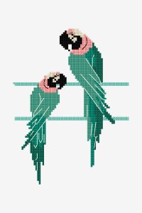 DMC - Parrots - Perroquets (free).jpg