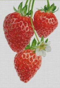 strawberry_stories_3_1.jpg