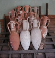 Amphorae.jpg