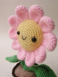 Jaravee pink sunflower.jpg