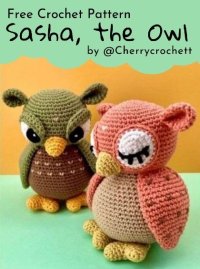 Cherrycrochett - Sasha the Owl.jpg