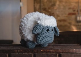 Little bo sheep.jpg