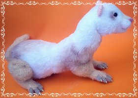Loktionova Irina - Ferret Timka.JPG