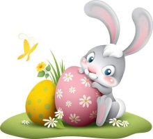 FB_IMG_1650059027033.jpg