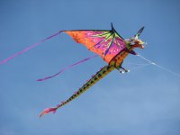 dragon kite7.jpg