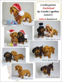Dachshund1.jpg