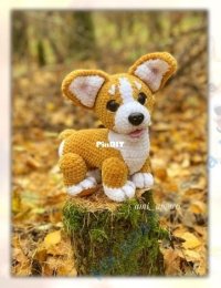 Korgi.clean AmiAmor6 - Olga Tseplyaeva.jpg