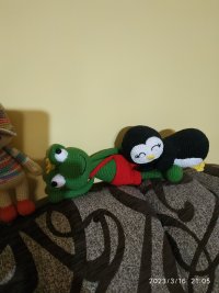 IMG_20230316_210554.jpg