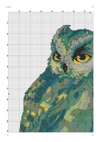 Green Owl 1.jpg