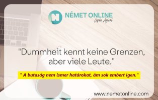 a butaság nem ismer....jpg