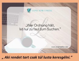 Aki rendet tart csak túl lusta keresgélni_1.jpg