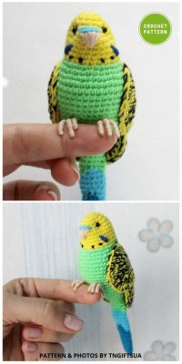 Crochet-Green-Budgie-6-Awesome-Realistic-Crochet-Bird-Patterns-To-Make-Right-Now-512x1024.jpg