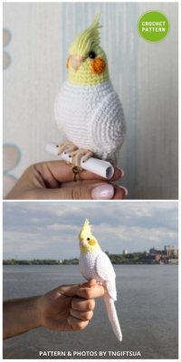 Crochet-Parrot-6-Awesome-Realistic-Crochet-Bird-Patterns-To-Make-Right-Now-512x1024.jpg