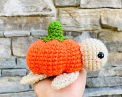 Pumpkin Turtle.jpg