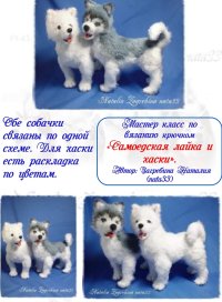 IMG_20231017_204902.jpg