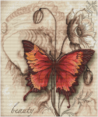 Butterfly _page0_image.png