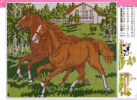 HORSE 1.jpg