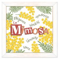 Lilipoints - Le Mimosa.jpg