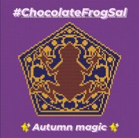 Chocolate Frog.jpg