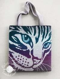 Cat_Bag_Pillow_crochet_pattern-17_medium2.jpg