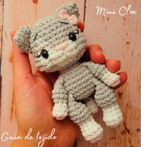 Mini Cloe cica.PNG