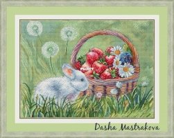 Summer rabbit.jpg