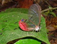 image022.jpg