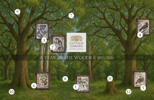 Cottage Garden Samplings - A year in the Woods II.png