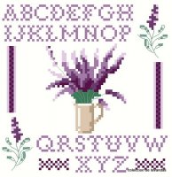 lavanda.jpg
