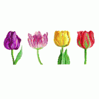 színes tulipánok.gif