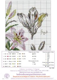 M6xN3XuOaFTcD7ue5pUzP0aobNqPUdTVqmq6j-hrkW3Y-Hymm-03LiFXDuKIdDfsG41-PTQIQb-hvCHn_6SwFyNU.jpg