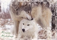 Wolf Xmas Card.jpg